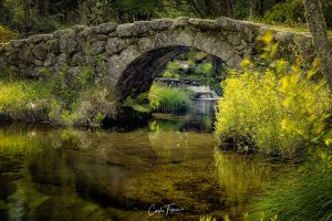 Ponte de Dorna