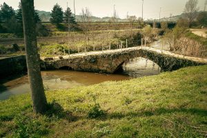 Pontes Romanas do Rio Selho